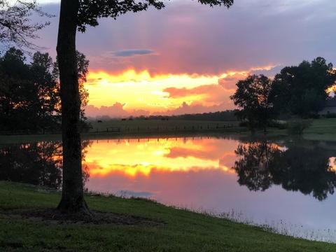 595 Five Points Rd, Milner, GA 30257 photo 51