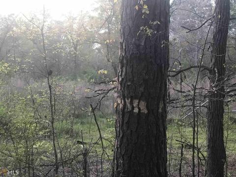 3070 Blanton Mill Rd, Williamson, GA 30292 photo 80