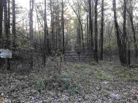 3070 Blanton Mill Rd, Williamson, GA 30292 photo 79
