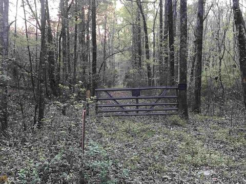 3070 Blanton Mill Rd, Williamson, GA 30292 photo 78