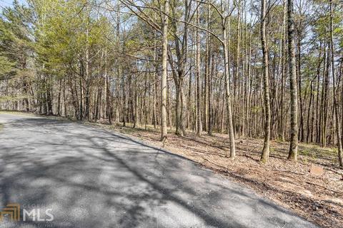 700 Pea Ridge Rd, Cornelia, GA 30531 photo 62