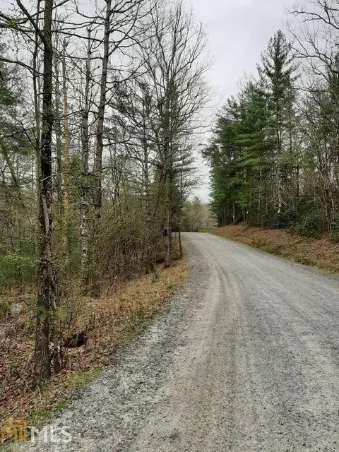 0 Peter Knob St #LOT 10, Blue Ridge, GA 30513