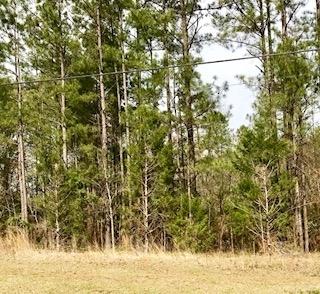 659 Antioch Rd, Lagrange, GA 30240 photo 1
