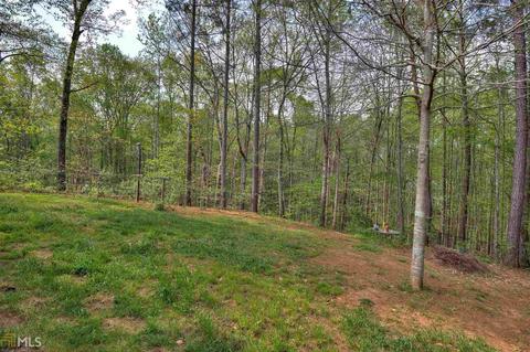 37 Windrush Dr, White, GA 30184 photo 28