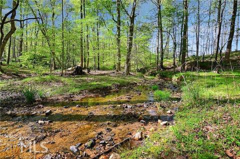 300 Trinity Overlook, Canton, GA 30115 photo 83