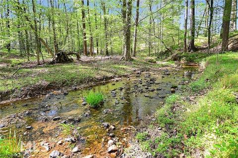 300 Trinity Overlook, Canton, GA 30115 photo 84