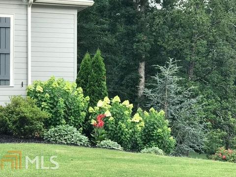 300 Trinity Overlook, Canton, GA 30115 photo 71