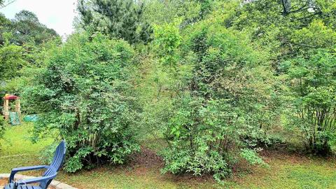 110 Crestlawn Dr, Toccoa, GA 30577 photo 34