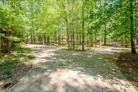 10923 Folsom Rd, Hampton, GA 30228 photo 63