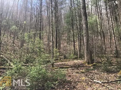 287 Merry Cove Rd, Sylva, NC 28779 photo 6