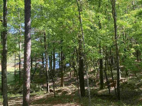 101 Christopher Dr, Lagrange, GA 30240 photo 6