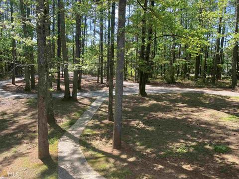 11451 Panhandle Rd, Hampton, GA 30228 photo 27