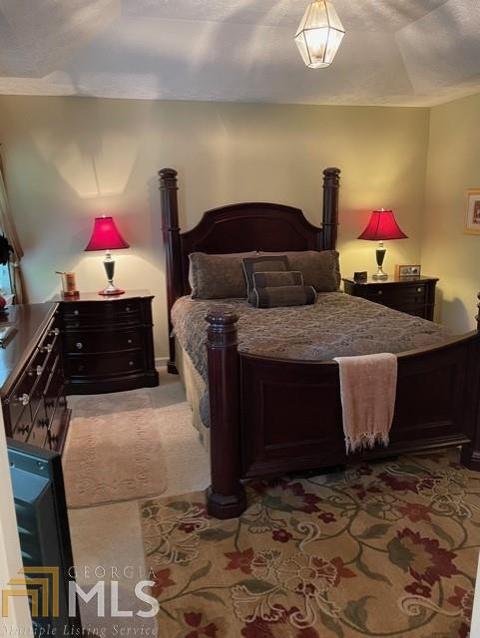 316 Lacebark Ln, Hampton, GA 30228 photo 10