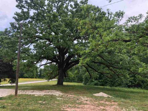 943 Covered Bridge Rd, Covington, GA 30016 photo 9