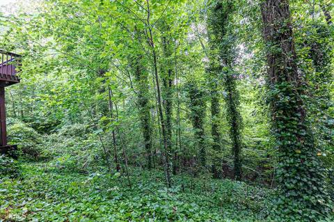 Undisclosed, Duluth, GA 30097 photo 31