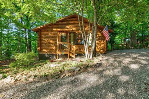 19 Cabin, Menlo, GA 30731 photo 6