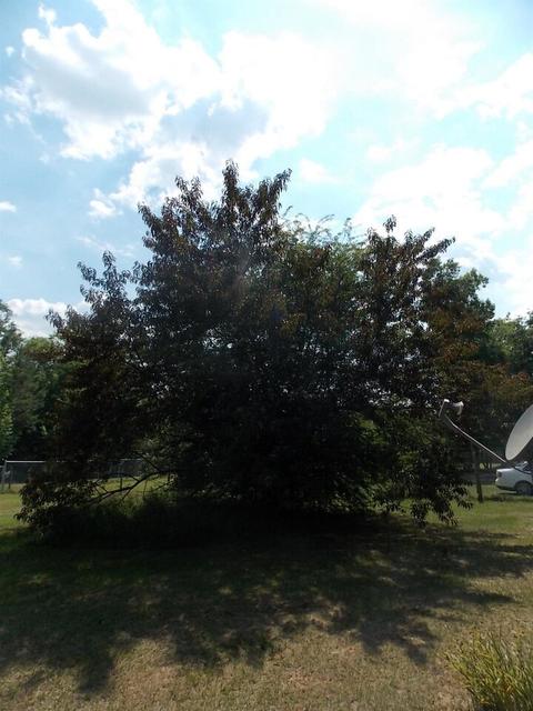 1992 W Kendricks Rd, Brooklet, GA 30415 photo 38