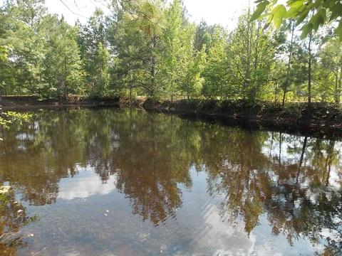 1992 W Kendricks Rd, Brooklet, GA 30415 photo 40