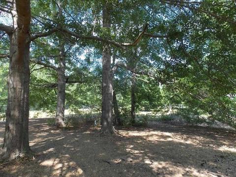1992 W Kendricks Rd, Brooklet, GA 30415 photo 37