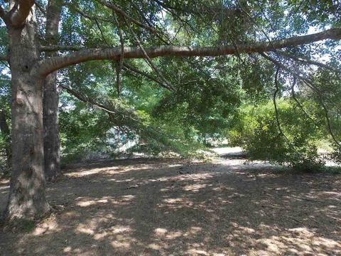 1992 W Kendricks Rd, Brooklet, GA 30415 photo 35