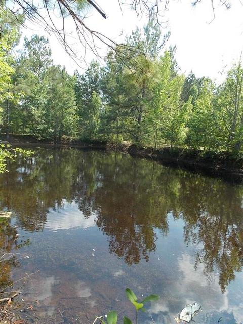 1992 W Kendricks Rd, Brooklet, GA 30415 photo 41
