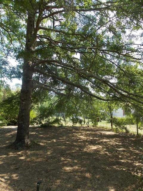 1992 W Kendricks Rd, Brooklet, GA 30415 photo 34