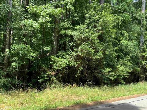 1121 Saffold Rd, Buckhead, GA 30625 photo 3