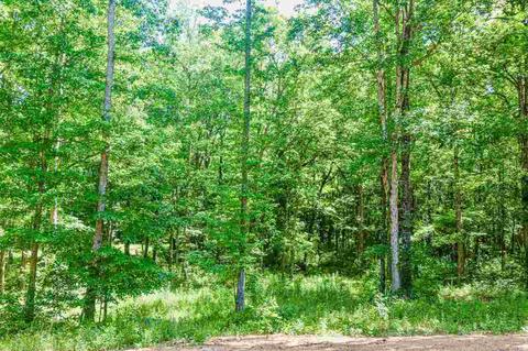155 Hendricks Rd, Milner, GA 30257 photo 10