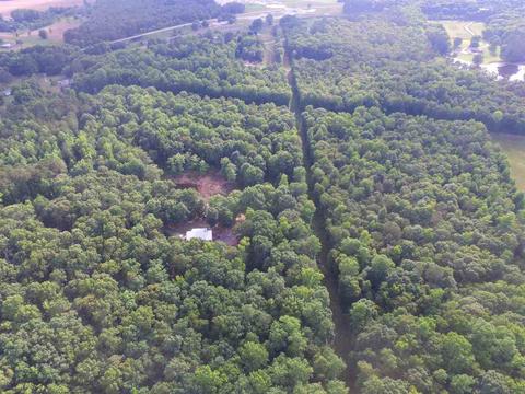 155 Hendricks Rd, Milner, GA 30257 photo 53