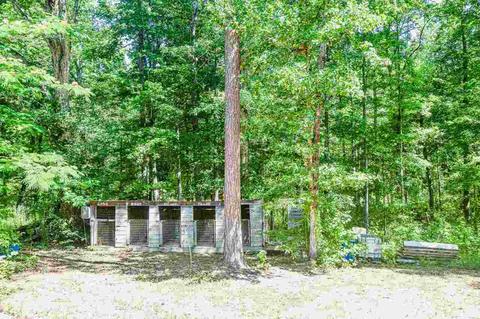 155 Hendricks Rd, Milner, GA 30257 photo 11