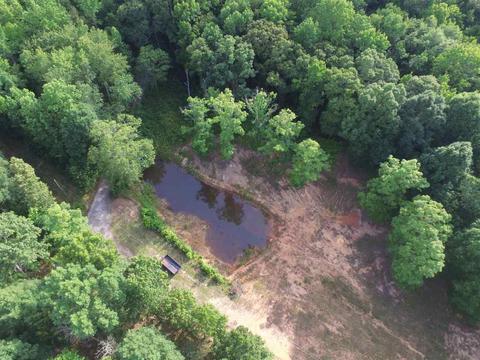 155 Hendricks Rd, Milner, GA 30257 photo 48