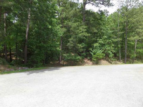 356 River Pointe Dr, Macon, GA 31211 photo 13