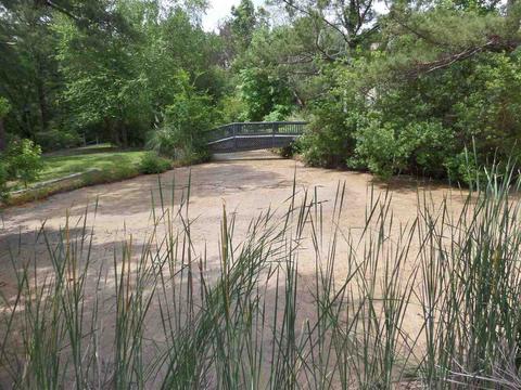 356 River Pointe Dr, Macon, GA 31211 photo 16