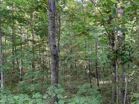 13593 Co Rd 55, Fruithurst, AL 36262 photo 14