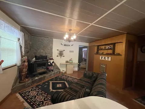 95 Honey Bear Ln, Dillard, GA 30537 photo 6
