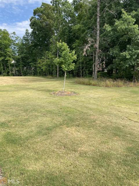 1300 Millwood Xing, Hampton, GA 30228 photo 13