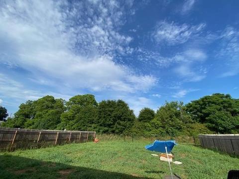 41 Crest View Cir, Carnesville, GA 30521 photo 6