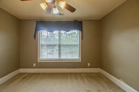 4223 Donington Way, Hampton, GA 30228 photo 21
