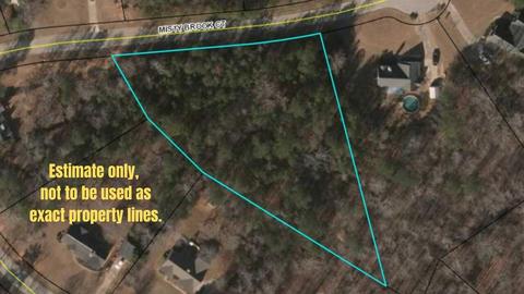430 Misty Brook Ct, Hampton, GA 30228 photo 1
