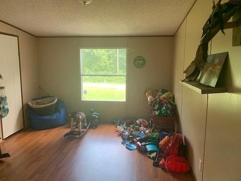 217 Craven Rd, Bowdon, GA 30108 photo 9