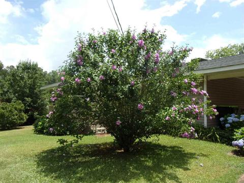 201 Daniel Rd, Thomaston, GA 30286 photo 4