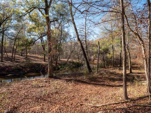 309 Forest Pointe Dr, Forsyth, GA 31029 photo 29
