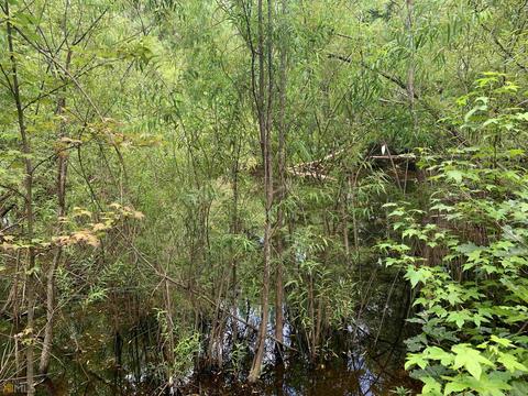 100 Second Ave, Bonaire, GA 31005 photo 22