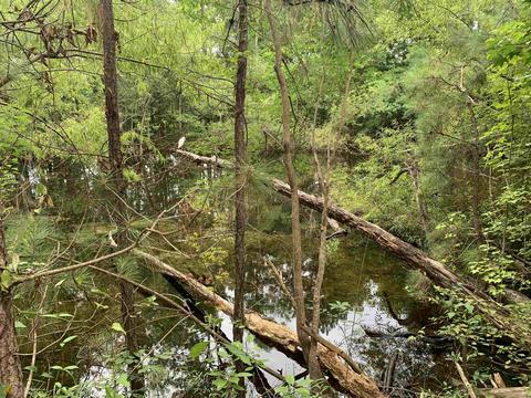 100 Second Ave, Bonaire, GA 31005 photo 25