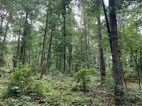 100 Second Ave, Bonaire, GA 31005 photo 19