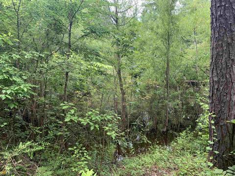 100 Second Ave, Bonaire, GA 31005 photo 20