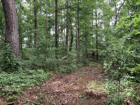 100 Second Ave, Bonaire, GA 31005 photo 17