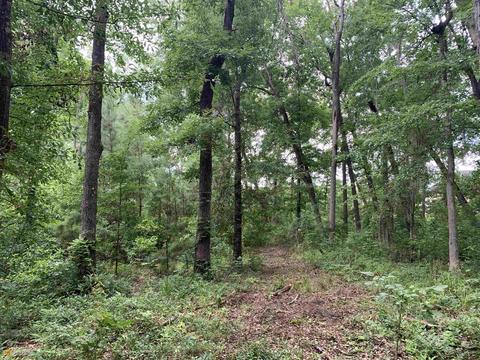 100 Second Ave, Bonaire, GA 31005 photo 37