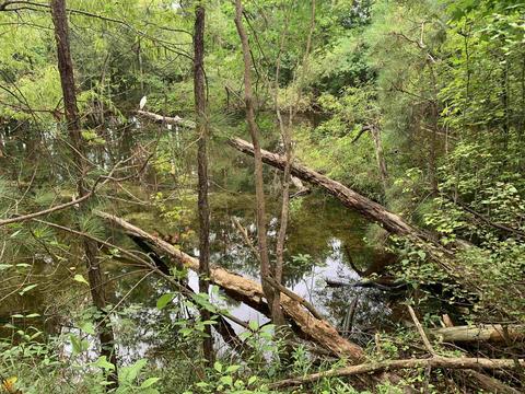 100 Second Ave, Bonaire, GA 31005 photo 28