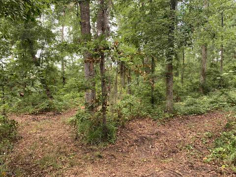 100 Second Ave, Bonaire, GA 31005 photo 29
